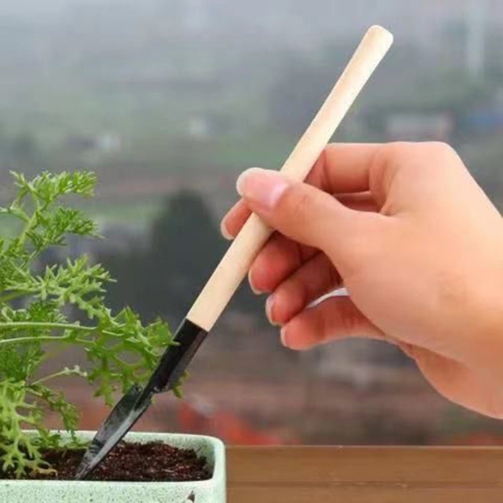 Multi-functional Mini Garden P - مراجعة Spade Digging Fork وسعره