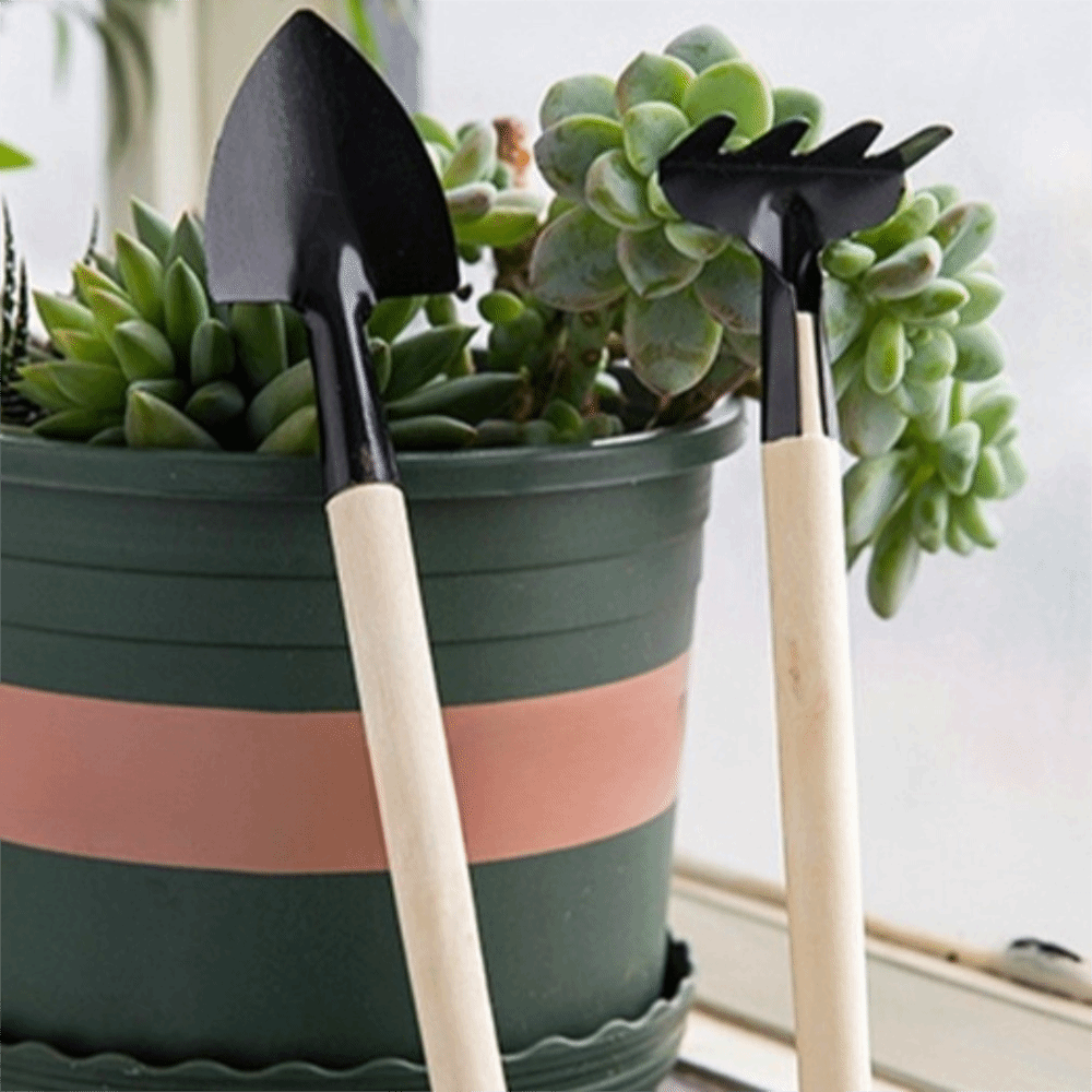 Multi-functional Mini Garden P - مراجعة Spade Digging Fork وسعره