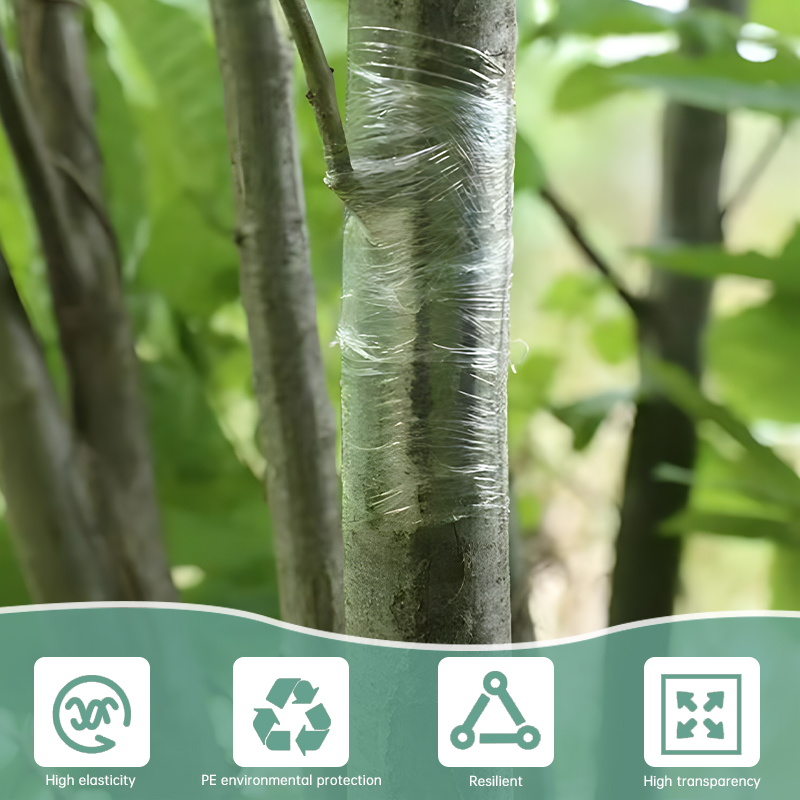 2/3/4cm Width PE Grafting Tape - مراجعة Grafting Tape وسعره