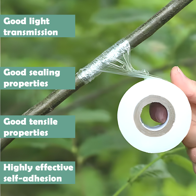 2/3/4cm Width PE Grafting Tape - مراجعة Grafting Tape وسعره