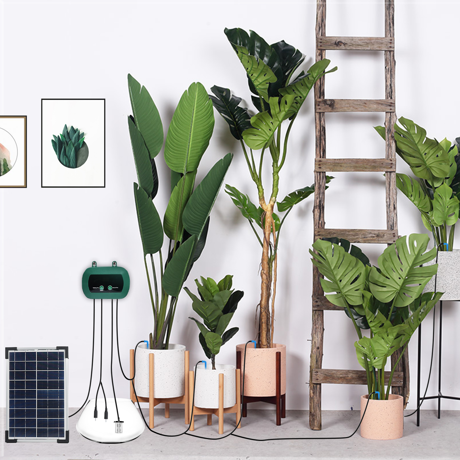Solar Hydroponics Equipment  M - مراجعة Hydroponic System وسعره