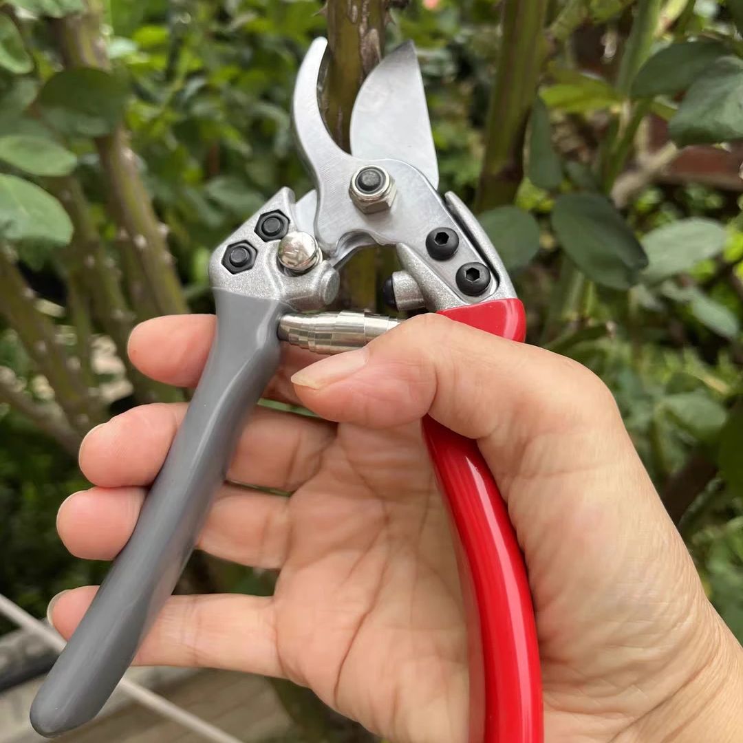 Japan Vvt New Sk5 Strong Garde - مراجعة Gardening Tools In Japan وسعره