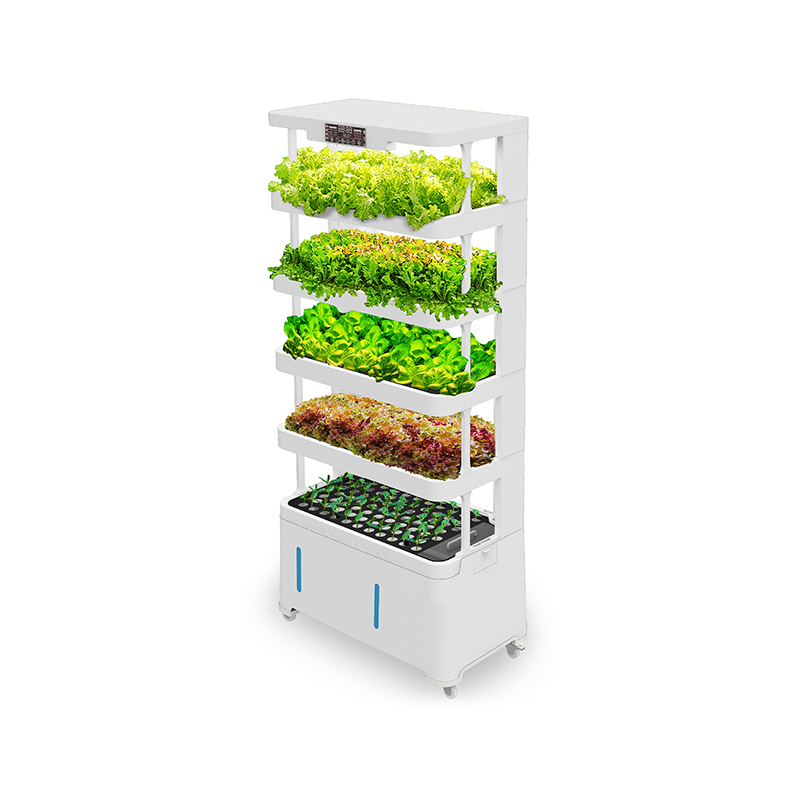 High-Tech Intelligent Hydropon - مراجعة Hydroponic System وسعره