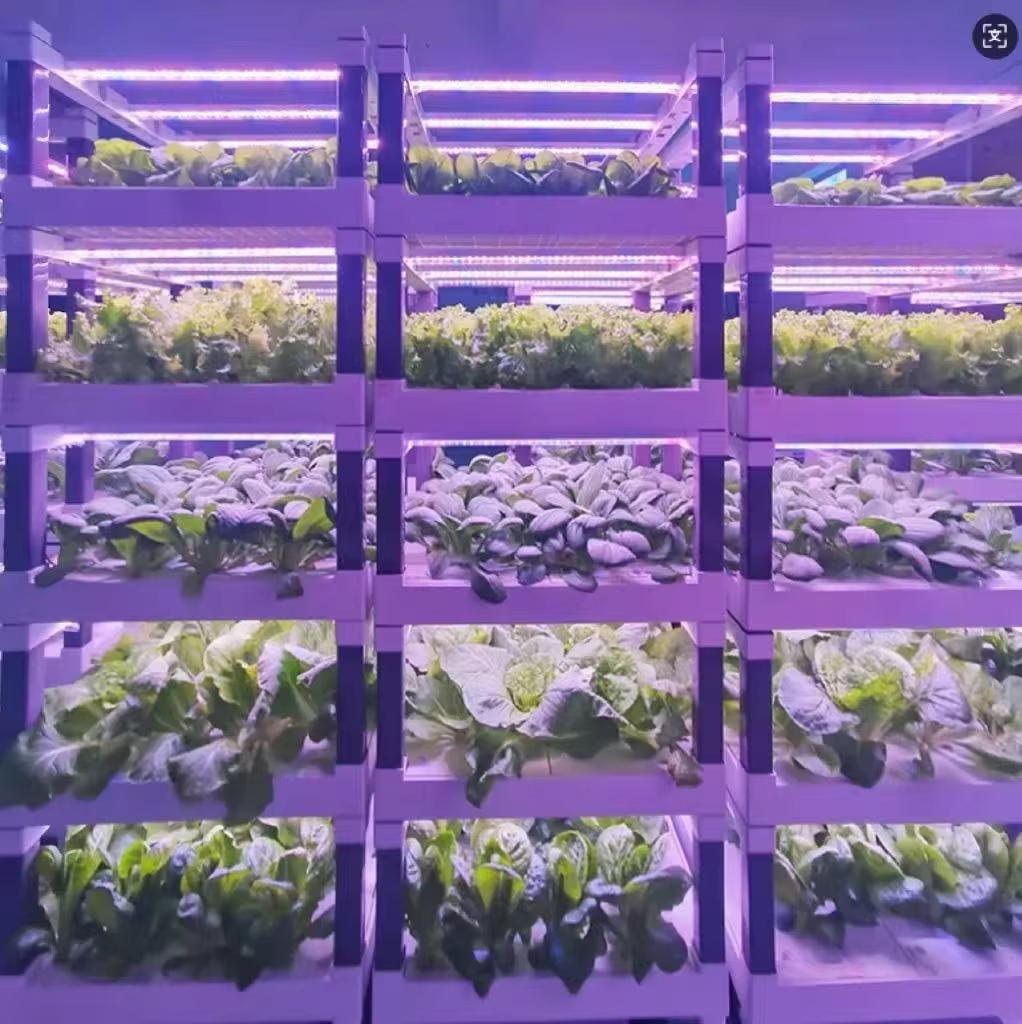 Hydroponic Grow System Greenho - مراجعة Hydroponic System وسعره