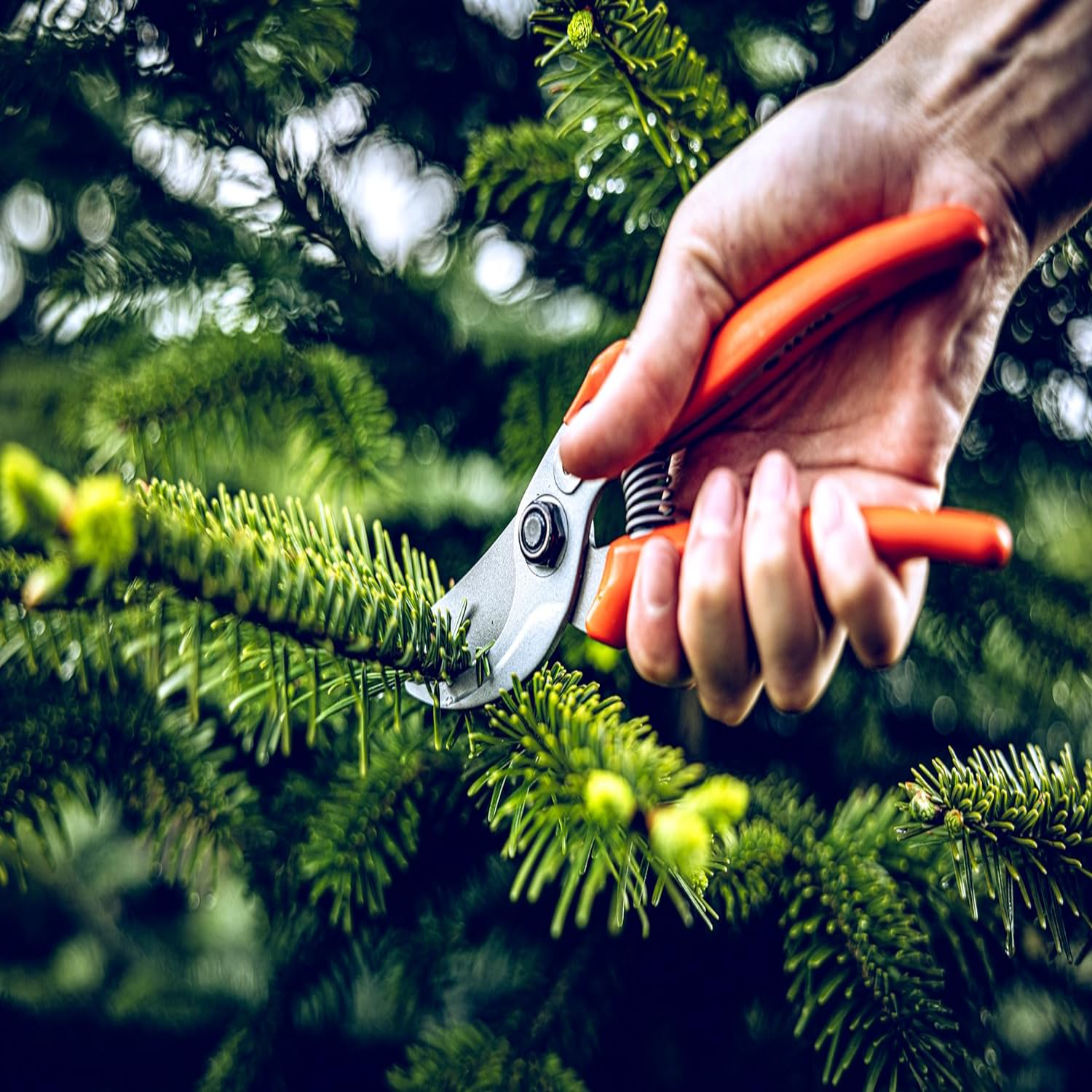 Versatile, Durable, and Precis - مراجعة Gardening Tools Must Haves وسعره